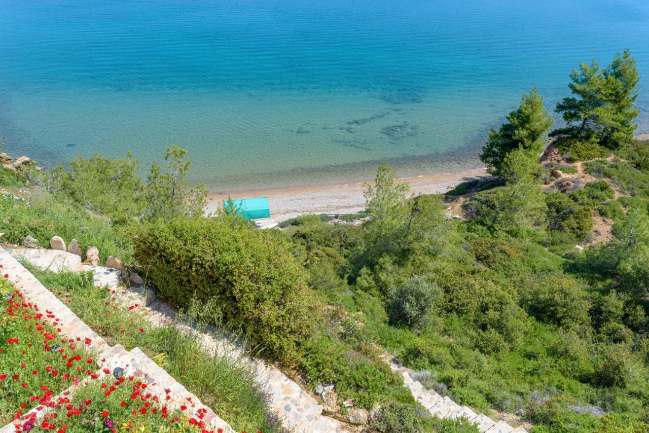 Crystal Beach Villa Chalkís Exteriér fotografie